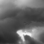 Nature | Landscape